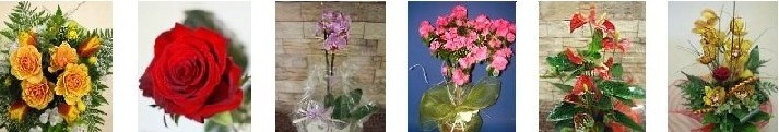 CON FLORENCE FIORI SPEDISCI FIORI IN TUTTA ITALIA 