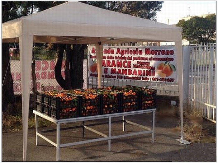 VENDITA ARANCE E MANDARINI CALABRESI A BOLOGNA