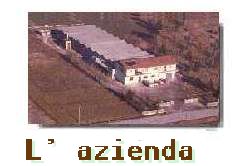 L'AZIENDA