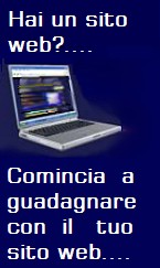 GUADAGNARE SU INTERNET 