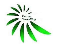  VERONA CONSULTING INSTALLAZIONE PANNELLI FOTOELETTRICI A VERONA e IN VENETO