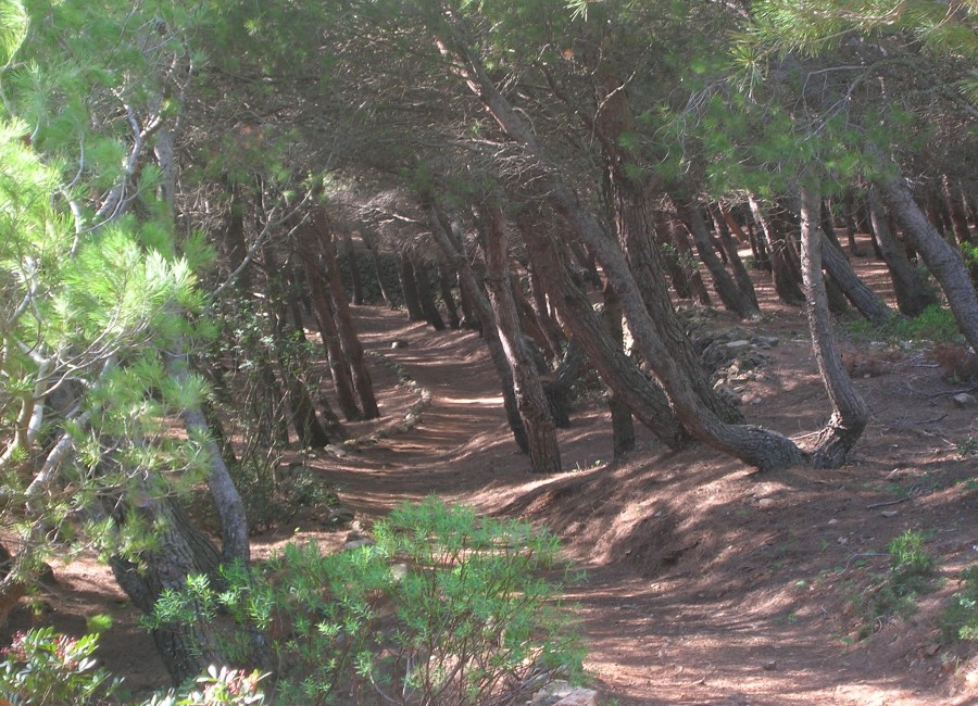 Marettimo (TP)