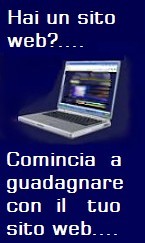 Guadagnare su internet, fai fruttare il tuo sito web.